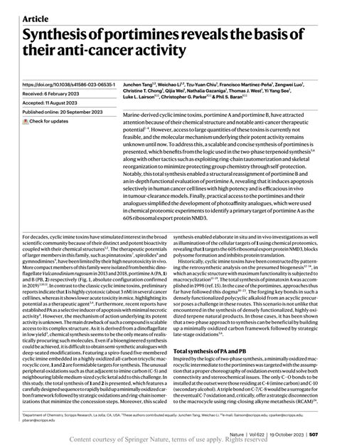 Synthesis of portimines reveals the basis of their anti